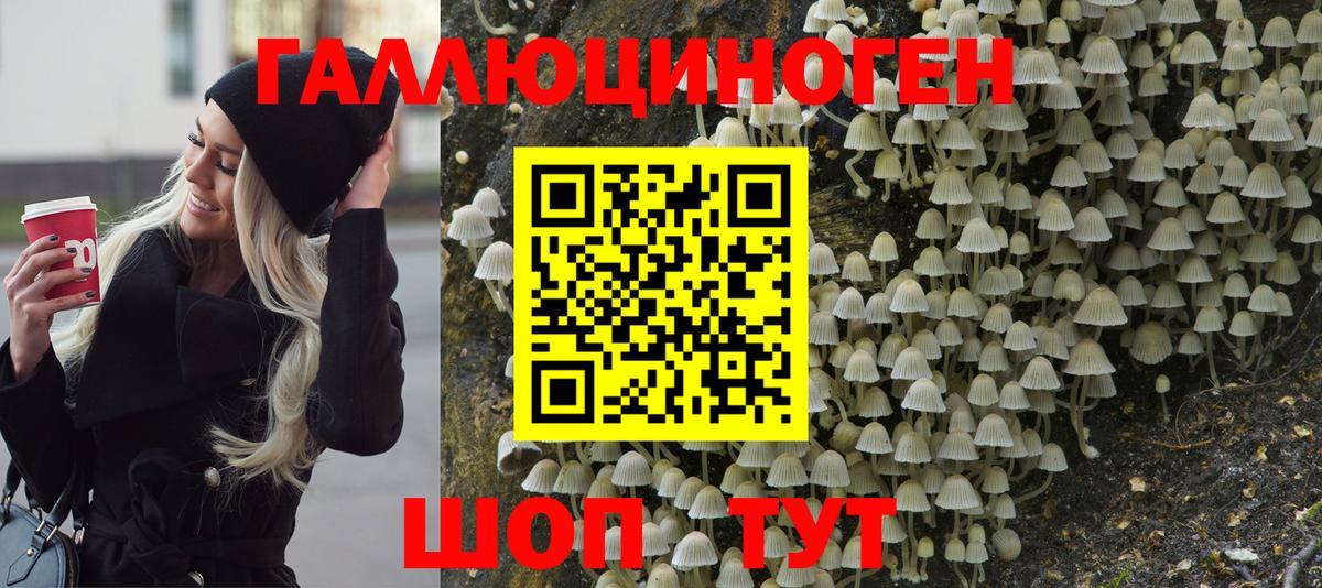 Галлюциногенные грибы ЛСД  Вход с VPN  Санкт-Петербург  Псилоцибиновые грибы мухоморы 